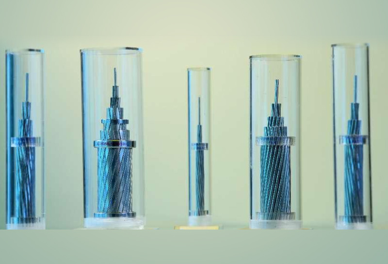 金沙娱乐城官网