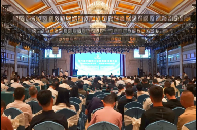 金沙娱乐城官网