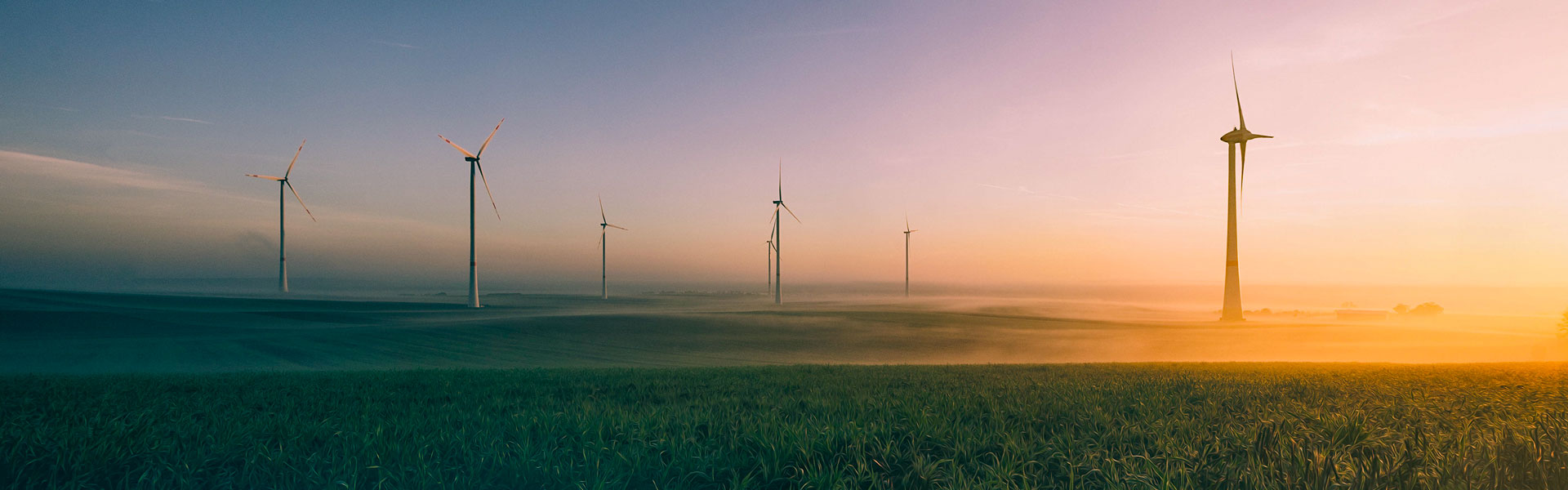 金沙娱乐城官网